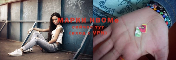 Альфа ПВП Аркадак